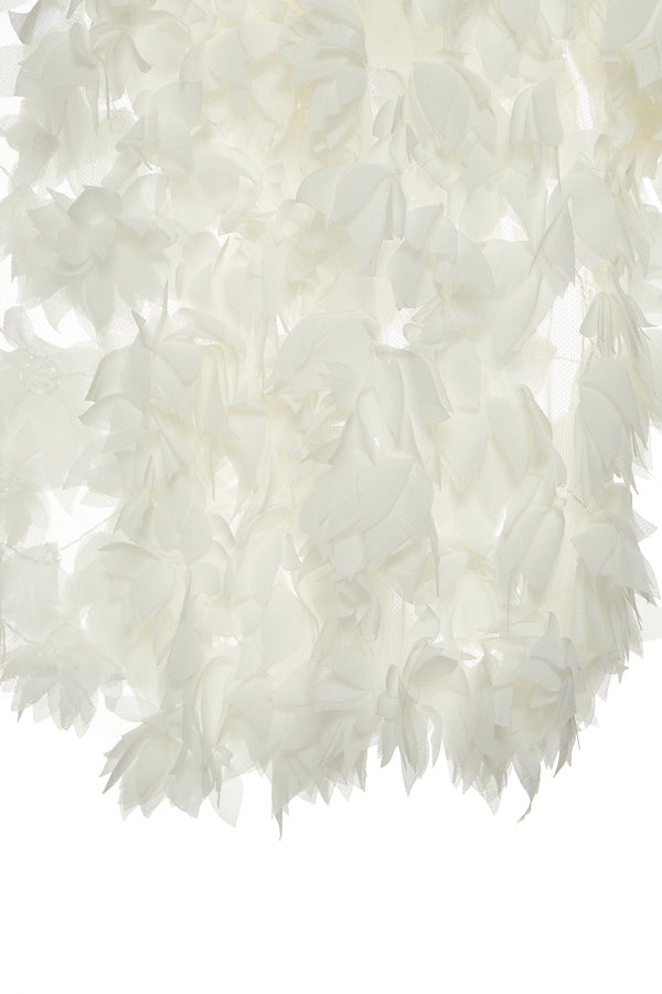 #Ivory